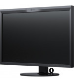 EIZO CG319X MONITOR 31" NOLEGGIO - Fcf Rental & Production - Milano