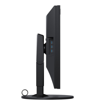 EIZO CG319X MONITOR 31" NOLEGGIO - Fcf Rental & Production - Milano