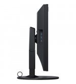 EIZO CG319X MONITOR 31" NOLEGGIO - Fcf Rental & Production - Milano